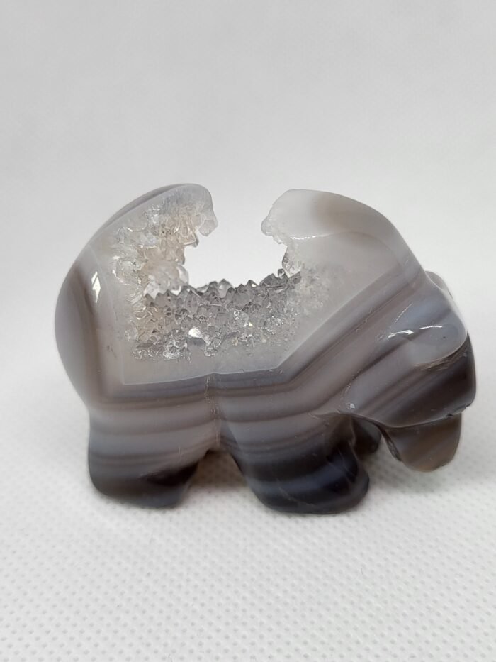 Druzy Agate Bear A